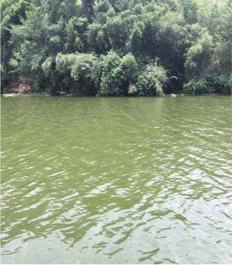 圖片關(guān)鍵詞