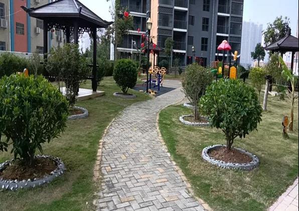 圖片關鍵詞